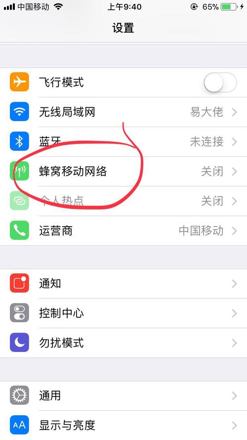 为什么开了移动数据?
