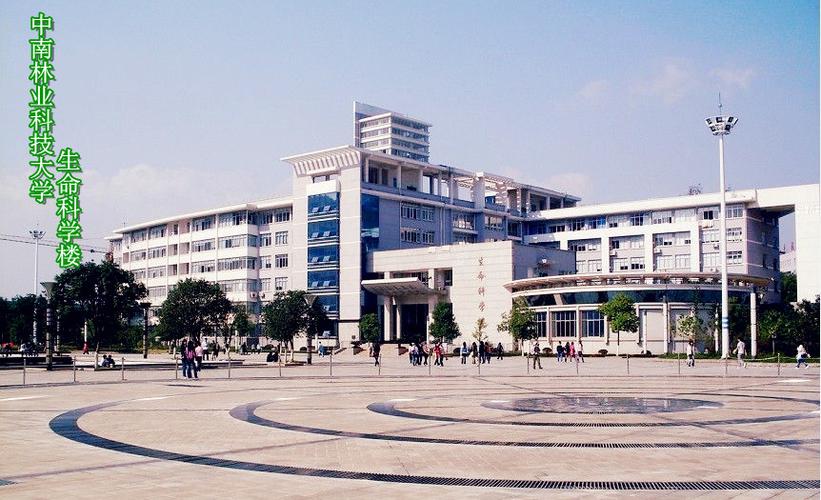 中南林业科技大学怎么样?