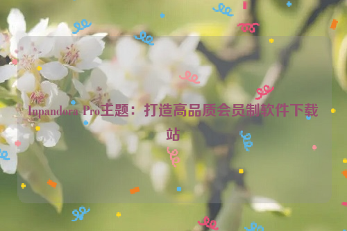 Inpandora Pro主题：打造高品质会员制软件下载站