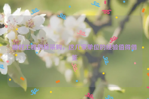 做好工程招标采购，这几家单位的经验值得借鉴