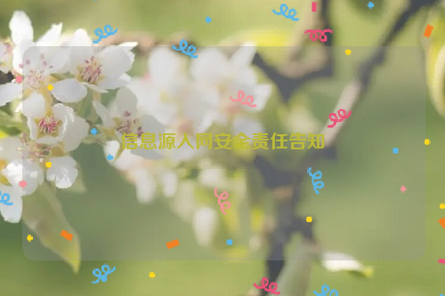 信息源入网安全责任告知