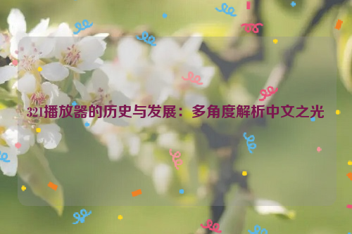 321播放器的历史与发展：多角度解析中文之光